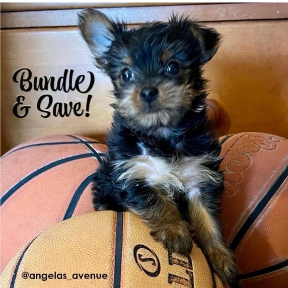 Thank You!🥰💃🏻💜💙💚💛🧡❤💖 - Picture 14 of 16